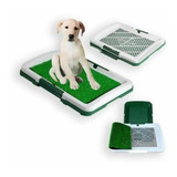 Baño Educador Y Ecológico Para Perros Puppy Potty Pad