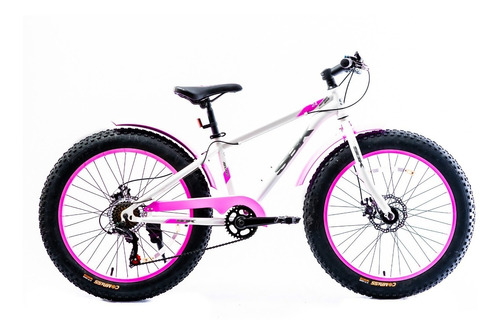 Bicicleta Fat Hunter Rodado 24 Ruedas Anchas Sbk Patona 