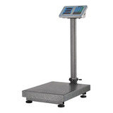 Balanza Bascula 300kg Electronica Pedestal Color Gris 220v