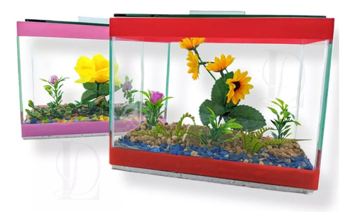 Aquário 20x10x15cm Beteira Betas Decoração Peixes Plantas