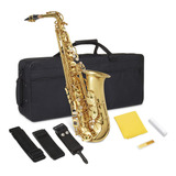 Kit Saxofón Alto Laton Lacado Brillante Instrumento Aire 