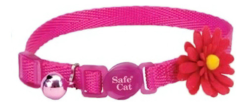 Collar Safe Cat Embellished Coastal/gato/boxcatchile Color Rosa