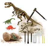 Kit De Fósiles De Dinosaurios Para Niños Excavación Educativ