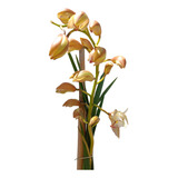 Orquídea Cymbidium De 1 Metro De Altura 