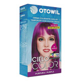 Otowil Tintura Color Fantasía Purpura Cielo Color X6unidades