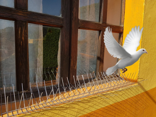 Profesional Bird Spikes Anti-pigeons 100pcs/50cm Stainless 