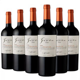 Vino Familia Gascon Roble Malbec 6 Botellas 750ml Pack X6