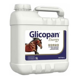 Glicopan Energy 5 Litros ( Vetnil )