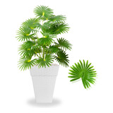 Planta Artificial Palmeira Leque Com Vaso Decoração