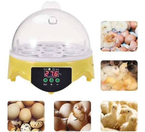 Mini Incubadora De Huevos Automática Digital Para 7 Huevos.