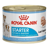  Royal Canin Alimento Size Health Nutrition Starter Mother & Babydog Para Perro Cachorro Todos Los Tamaños Sabor Mix En Lata De 145g