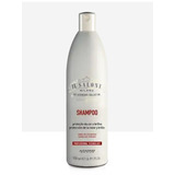 Shampoo Alfaparf Il Salone Proteção Da Cor E Brilho 500ml