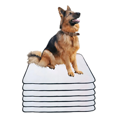 6 Tapetes Internos Lavável Para Cães - Casa Sem Xixi  80x60 | Parcelamento sem juros