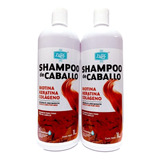 Shampoo De Caballo Con Biotina Colágeno Y Keratina 2 Piezas