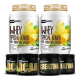 Combo 2 Whey Protein 3w+ 2 Bcaa Em Pó 150g + 2 Creatina 100g