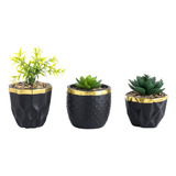 Plantas Suculentas Madison 10x12cm Porcelana Home Interiors