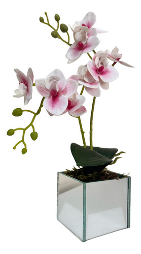 Mini Arranjo De Orquídeas Permanentes Em Vaso Espelhado
