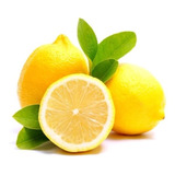 Arbol Limón Eureka Para Maceta Por Dhl