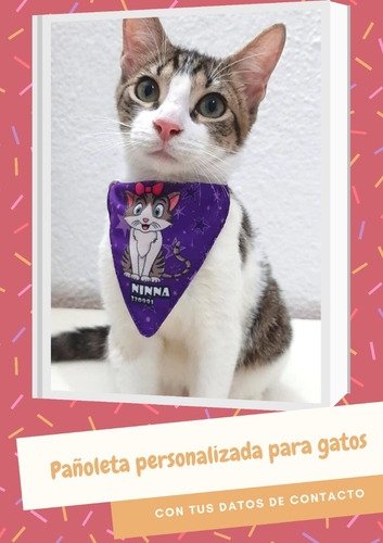 Pañoleta Collar Personalizada Talla S Para Perros Y Gatos