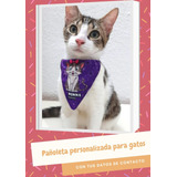 Pañoleta Collar Personalizada Talla S Para Perros Y Gatos