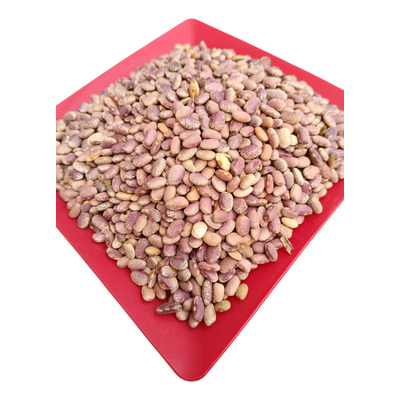 Frijol Flor De Mayo 9 Kg De Excelente Calidad Y Sabor