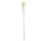 Galho Decorativo De Orquídea Branca 80x10x5cm 1013704