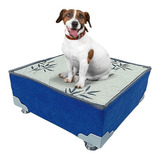 Cama Box Pet Azul Cães E Gatos 50x50x20