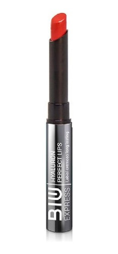 Lapiz Labial Biu Hyaluron Perfect Lips Con Acido Hialuronico