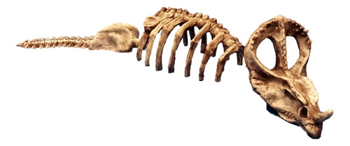 Adorno Acuario Resina Esqueleto De Triceratops