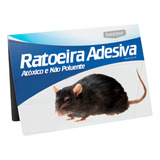 5 X Ratoeiras Adesivas Não Tóxica Pratica Sem Mola Cola Rato