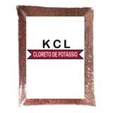 20kg Adubo Cloreto De Potássio Kcl - Fertilizante Cobertura