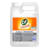 Cif Antigrasa Profesional Ultra Rápido Unilever 5 Lts