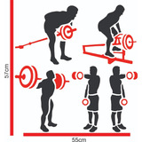 Adesivo Fitness Academia Musculação Gym Parede Vidro Ac 18