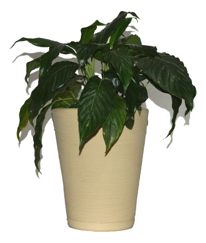 Vaso Planta Decorativo Jardim Redondo Escovado 1 - 23x28