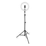 Iluminador Ring Light 26cm Com Tripé De Iluminação 2 Metros