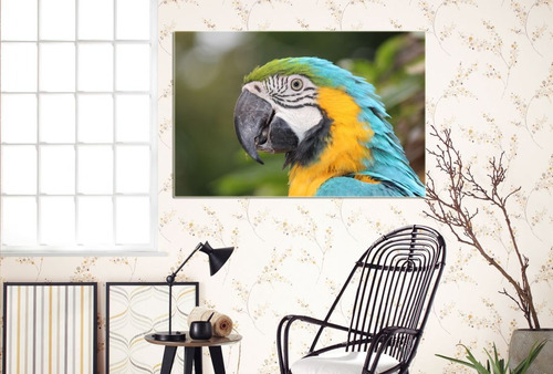 Vinilo Decorativo 60x90cm Loro Bird Pajaro Guacamayo M5