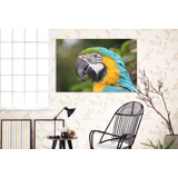 Vinilo Decorativo 60x90cm Loro Bird Pajaro Guacamayo M5