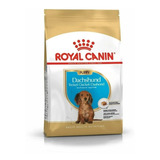 Royal Canin Dachshund Puppy / Salchicha Junior X  3 Kg Nuska