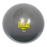 Bolas De Gimnasia 8lb Everlast Gris