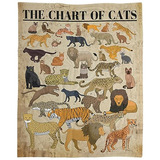 Manta  The Chart Of Cats , Regalo Niñas Y Niños, 40 X...