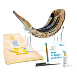 Shofar Kosher Ram Hecho A Mano De Israel, 14 A 16 Pulgadas, 