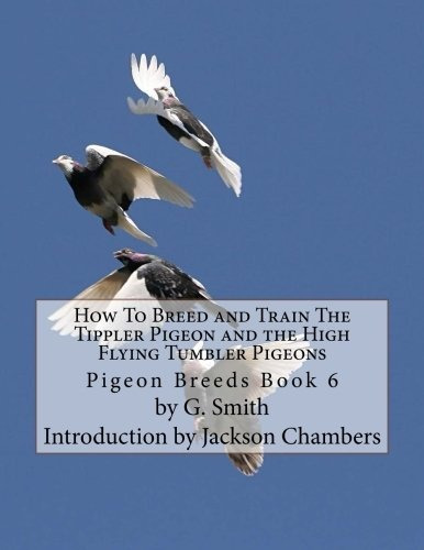 How To Breed And Train The Tippler Pigeon And The High Flyin