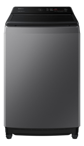 Lavadora Samsung Wa17cg6441bd/co, 17kg Ecobubble Color Gris