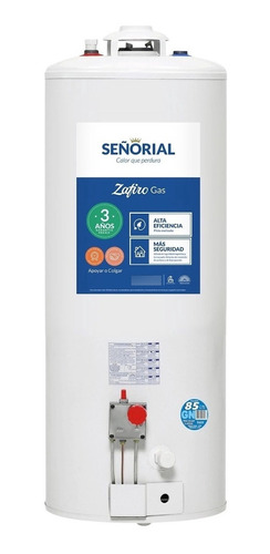 Termotanque Señorial Línea Zafiro 85lts A Gas