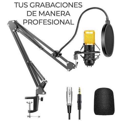 Kit Profesional Microfono Streaming Grabación Estudio