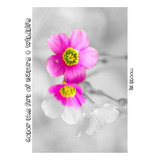 Libro In Bloom : Color The Art Of Nature + Wildlife - Tif...