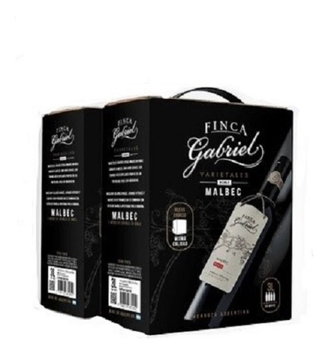  Finca Gabriel Malbec Roble Bag In Box 3 Litros X 2 Unidades