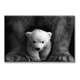 Cuadro Canva Oso Polar Bebe 90*135 Cm