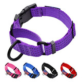 Luckydc Collar Martingala Para Perros De Adiestramiento. Col