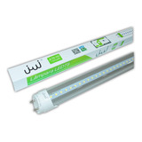 Tubo De Led T8 1 Línea 18w Transparent Luz Blanca 12pzs Jwj 